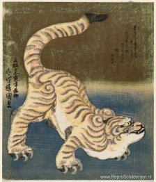 Tijger