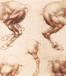 Studie van paarden