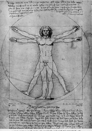 De proporties van de menselijke figuur (De man van Vitruvius)