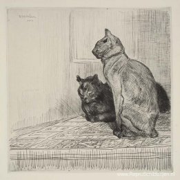 Twee katten op een kast
