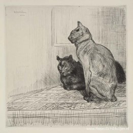 Twee katten op een kast