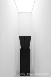Torso