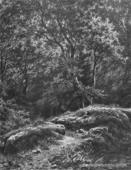 Pad in het bos
