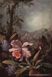 Orchidee en Kolibrie