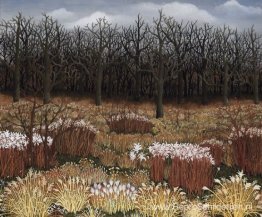 Landschap met gras