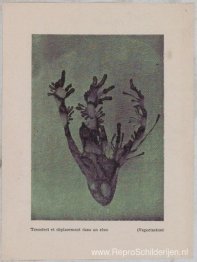 Overdracht en plaatsing in een droom (verdamping)