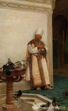 Een grote witte Enuch die naar duiven kijkt