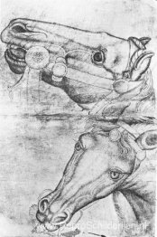 Studie van paardenhoofden
