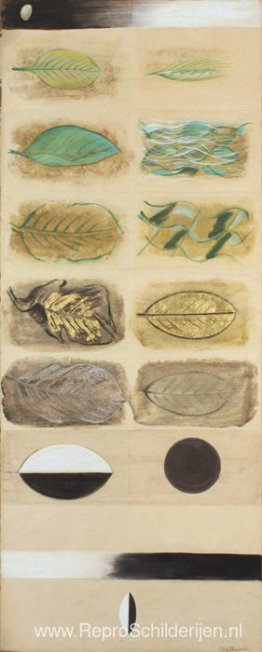Levenscyclus van een blad
