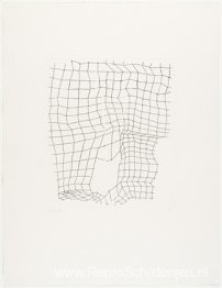Reticularia