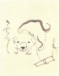 Pup