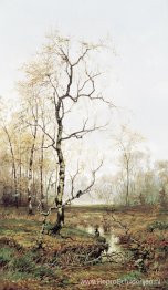 In het bos na de lente