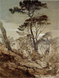 Steendennen bij Sestri