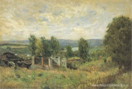 Landschap in de zomer