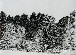 Bomen bij Evian