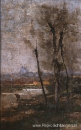 Landschap