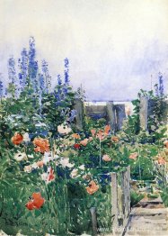 Huis van de kolibrie