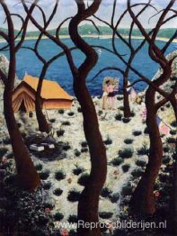 Kamperen en projecten