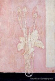 Tulp
