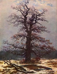 Eikenboom in de sneeuw