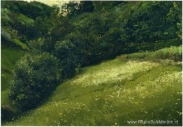Veld in Asturië