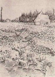 Landschap met hut in de Camargue