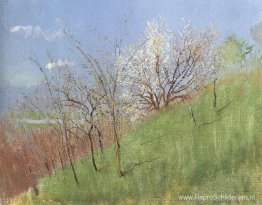Hildside in de lente (klein landschap)