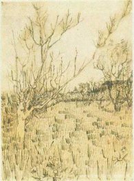 Boomgaard met Arles op de achtergrond