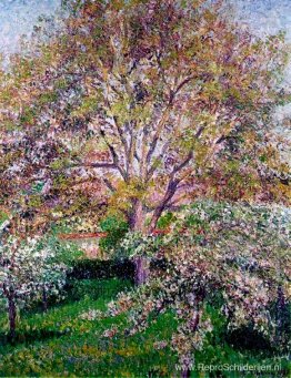 Walnoot- en appelbomen in bloei in Eragny Walnoot- en appelbomen in bloei in Eragny