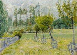 Studie van appelbomen in Eragny Studie van appelbomen in Eragny