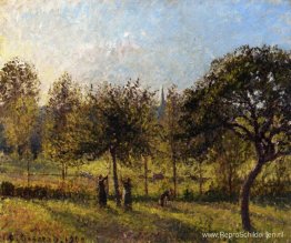 Ondergaande zon, herfst in Eragny Ondergaande zon, herfst in Eragny