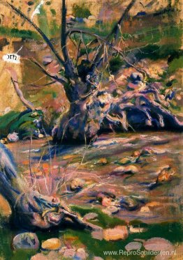 Rio Lozoya de passage door de Paular Rio Lozoya de passage door de Paular