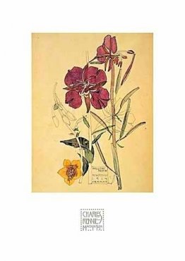 Bloemen Bloemen