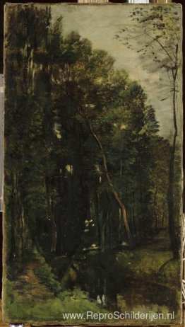 Het bos en de beek Het bos en de beek