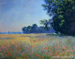 Haver- en papaverveld, Giverny Haver- en papaverveld, Giverny