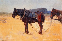 Werkpaarden Werkpaarden