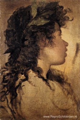 Studie voor het hoofd van Apollo Studie voor het hoofd van Apollo