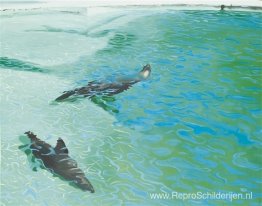 Otaries dans l'eau Otaries dans l'eau