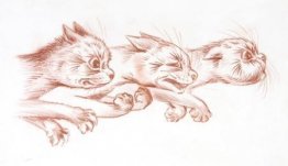 EEN GEKKE RUSH EEN GEKKE RUSH