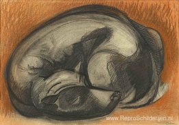 Slapende hond Slapende hond