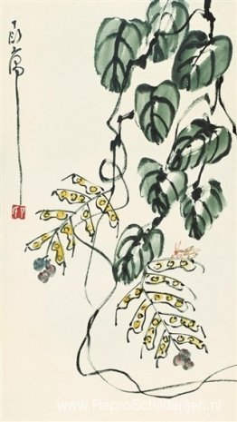 Gras en insecten Gras en insecten