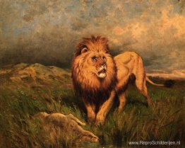 Lion and Prey (ook bekend als The Kill) Lion and Prey (ook bekend als The Kill)