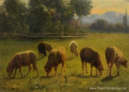 Schapen in een landschap Schapen in een landschap