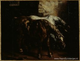 Twee postpaarden Twee postpaarden