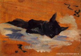 Kleine hond Kleine hond