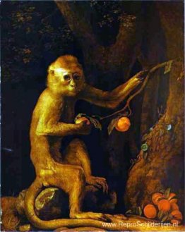 Portret van een aap Portret van een aap