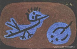 Blauwe vogelpompoen Blauwe vogelpompoen