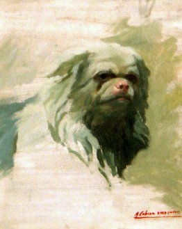 Portret van hond Portret van hond