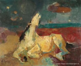 Nachtelijk Nachtelijk