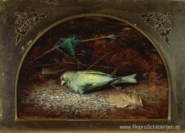 Een dode Kneu Een dode Kneu